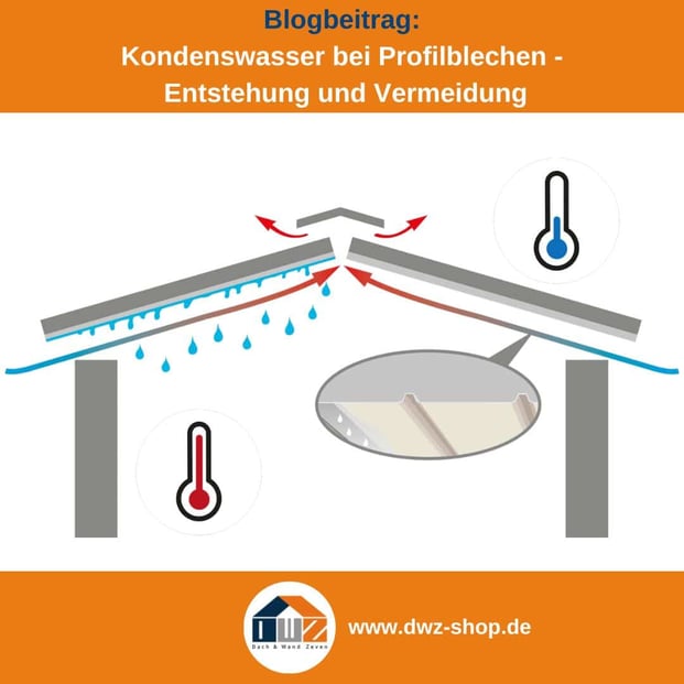 Titelgrafik eines Blogbeitrags mit dem Thema 'Kondenswasser bei Blechen' – gezeigt wird eine Grafik zur Veranschaulichung, dazu das Logo und die Webadresse von DWZ-Shop.de.