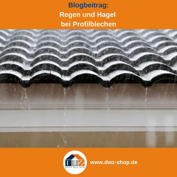 Titelgrafik eines Blogbeitrags mit dem Thema 'Regen und Hagel auf Blech' – gezeigt wird eine Dacheindeckung aus Pfannenblech, während es regnet, dazu das Logo und die Webadresse von DWZ-Shop.de.