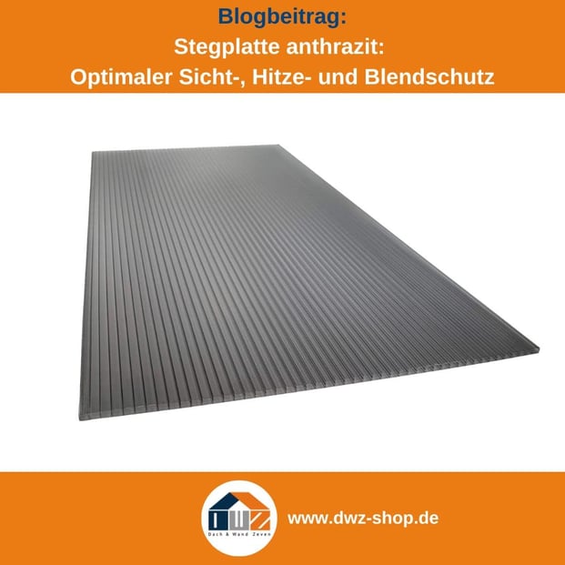 Titelgrafik eines Blogbeitrags mit dem Thema ‚Stegplatte in anthrazit‘ – gezeigt wird eine Stegplatte in anthrazit vor weißem Hintergrund, dazu das Logo und die Webadresse von DWZ-Shop.de.