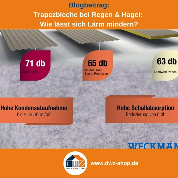 Titelgrafik eines Blogbeitrags mit dem Thema ‚Trapezbleche bei Regen & Hagel‘ – gezeigt wird eine Grafik von der Schalldämmung verschiedener Trapezbleche, dazu das Logo und die Webadresse von DWZ-Shop.de.