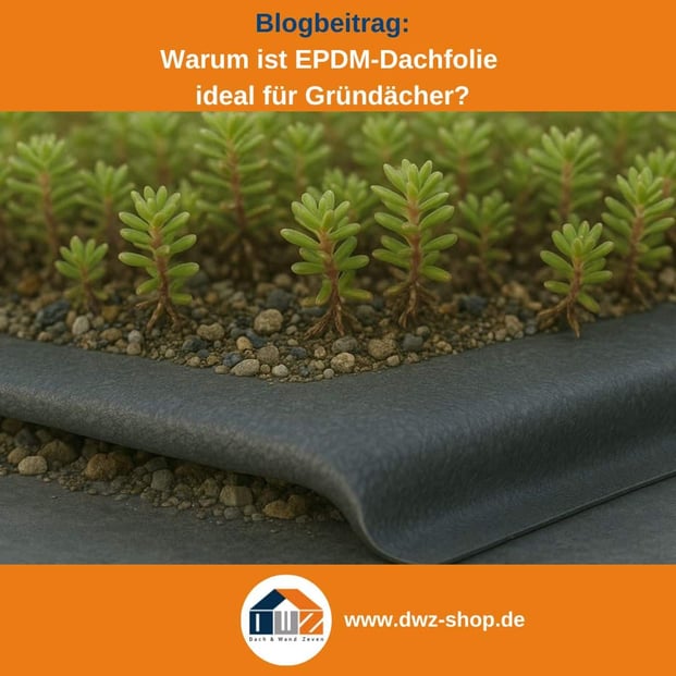 Titelgrafik eines Blogbeitrags mit dem Thema ‚EPDM Folie für Gründächer' gezeigt wird ein Dachausschnitt mit Bepflanzung, dazu das Logo und die Webadresse von DWZ-Shop.de.
