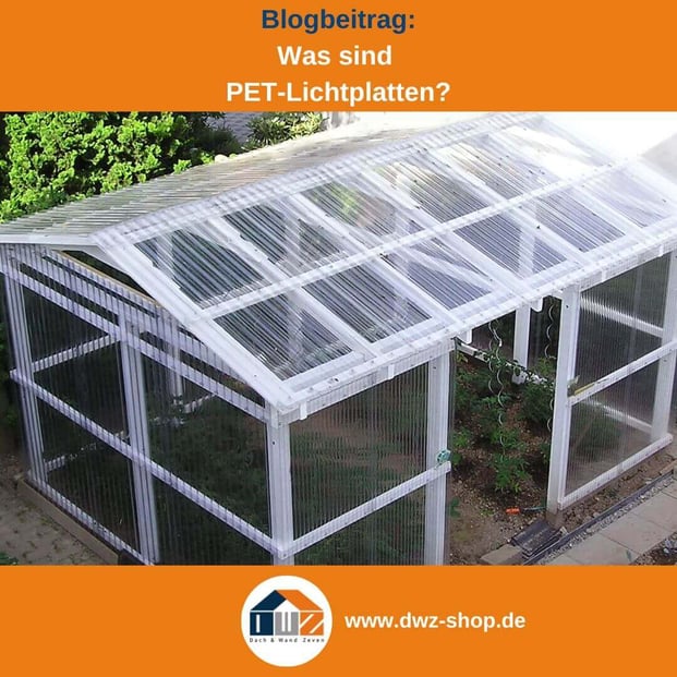 Titelgrafik eines Blogbeitrags mit dem Thema ‚PET-Lichtplatten‘ – gezeigt wird Gewächshaus aus Wellplatten, dazu das Logo und die Webadresse von DWZ-Shop.de.