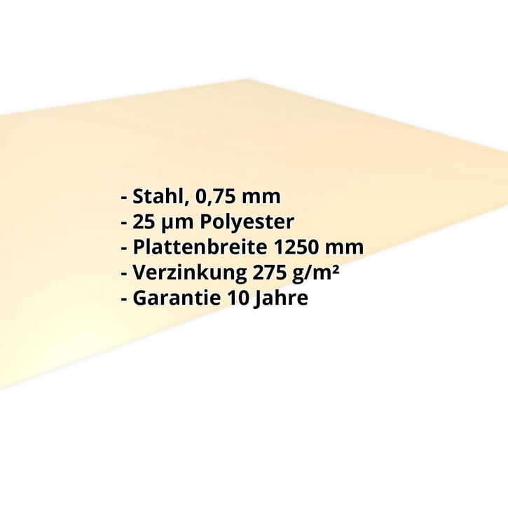 Flachblech | Stahl 0,75 mm | 25 µm Polyester | 1015 - Hellelfenbein #2
