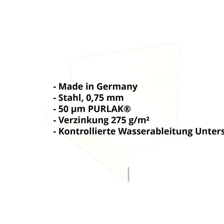 Sockelleiste | Typ 1 | 40 x 24 x 25 x 2000 mm | Stahl 0,75 mm | 50 µm PURLAK® | 9002 - Grauweiß #2