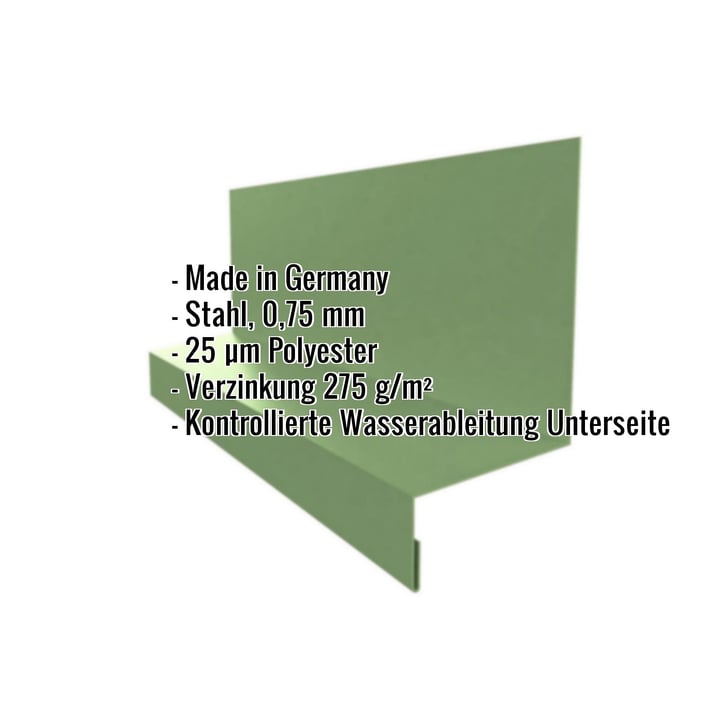 Sockelleiste | Typ 2 | 67 x 40 x 20 x 2000 mm | Stahl 0,75 mm | 25 µm Polyester | 6011 - Resedagrün #2
