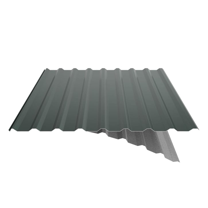 Trapezblech 20/1100 | Dach | Anti-Tropf 2400 g/m² | Stahl 0,50 mm | 60 µm Puramid | 6005 - Moosgrün #6