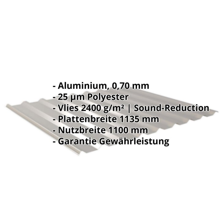 Trapezblech 20/1100 | Dach | Anti-Tropf 2400 g/m² | Aluminium 0,70 mm | 25 µm Polyester | 9007 - Graualuminium #2