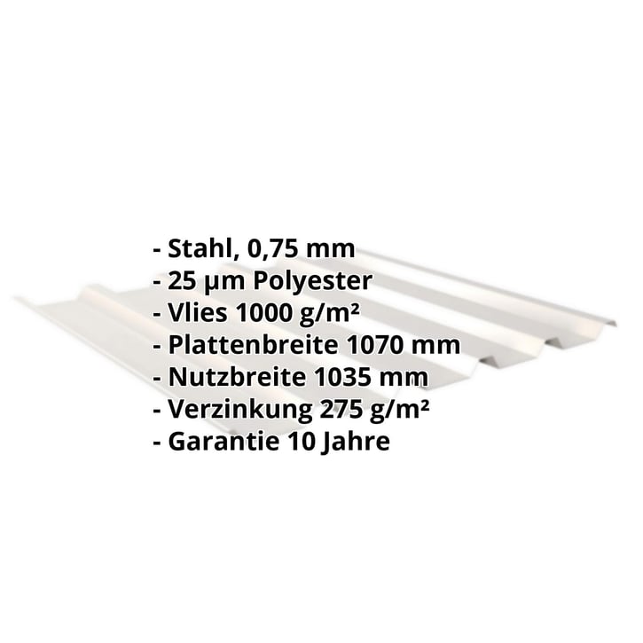 Trapezblech 35/207 | Dach | Anti-Tropf 1000 g/m² | Stahl 0,75 mm | 25 µm Polyester | 9002 - Grauweiß #2