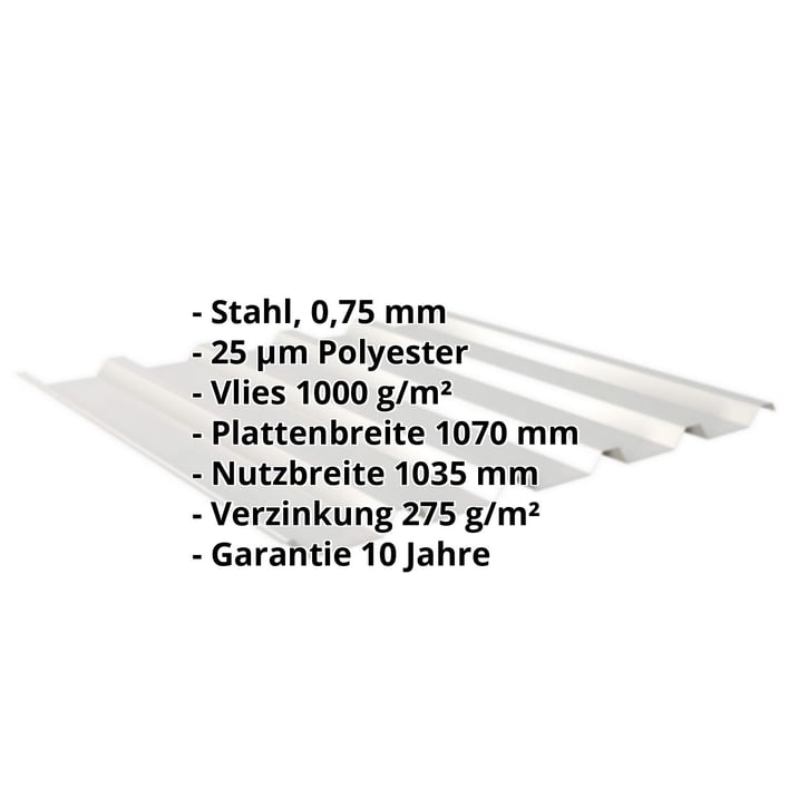 Trapezblech 35/207 | Dach | Anti-Tropf 1000 g/m² | Stahl 0,75 mm | 25 µm Polyester | 9006 - Weißaluminium #2