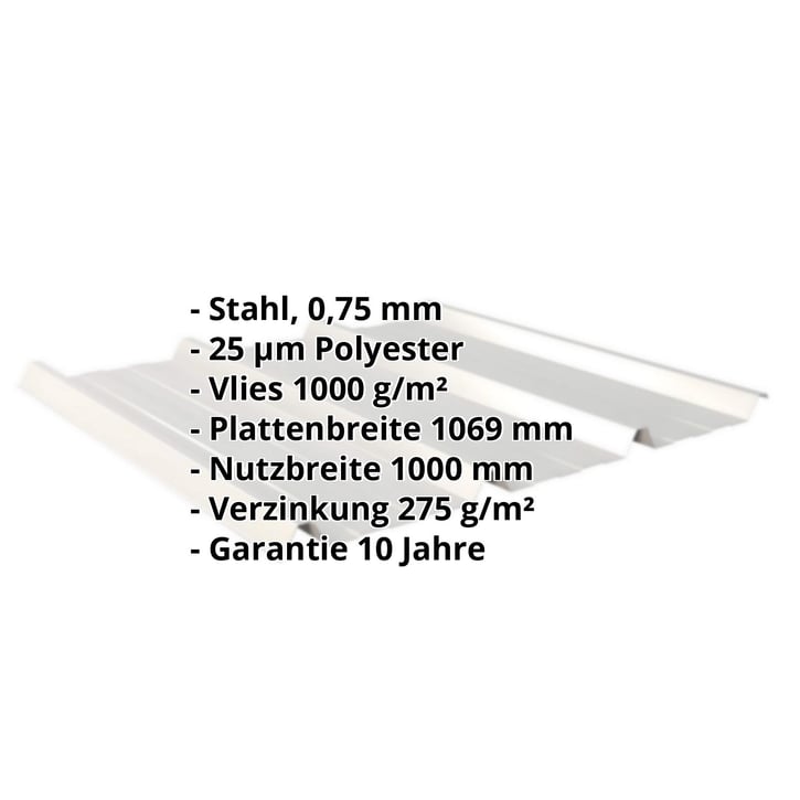Trapezblech 45/333 | Dach | Anti-Tropf 1000 g/m² | Stahl 0,75 mm | 25 µm Polyester | 9006 - Weißaluminium #2