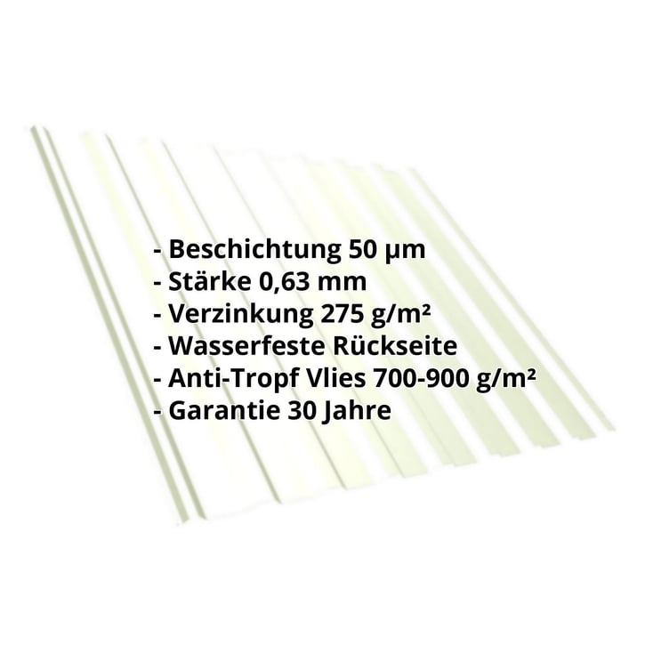 Trapezblech T20M | Dach | Anti-Tropf 700 g/m² | Stahl 0,63 mm | 50 µm PURLAK® | 9002 - Grauweiß #2