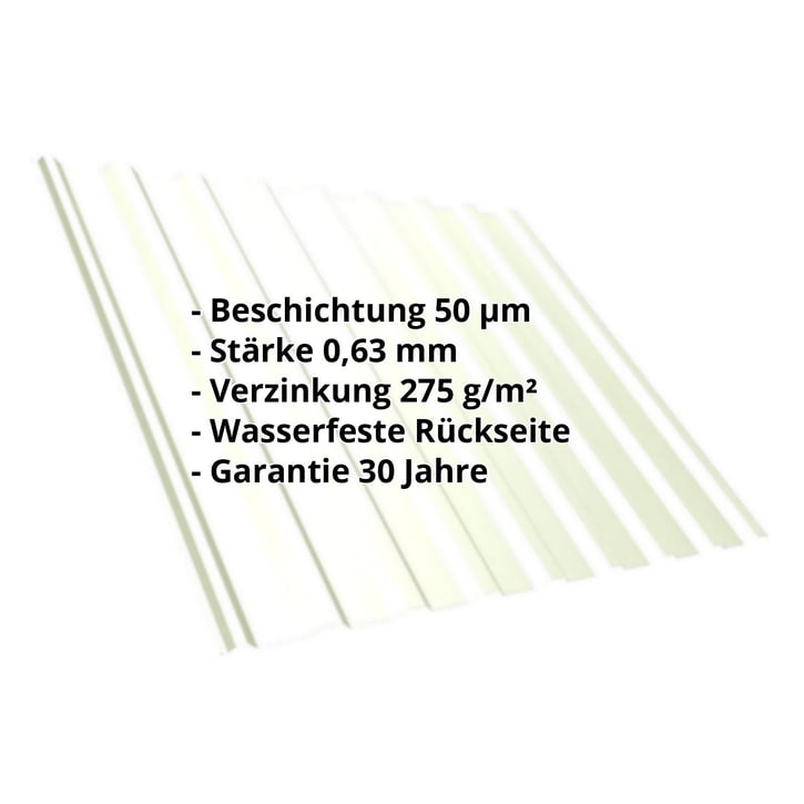 Trapezblech T20M | Dach | Stahl 0,63 mm | 50 µm PURLAK® | 9002 - Grauweiß #2