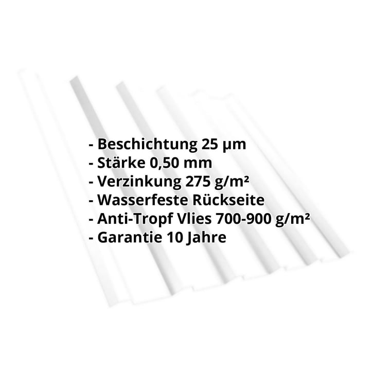 Trapezblech T35/207M | Dach | Anti-Tropf 700 g/m² | Stahl 0,50 mm | 25 µm Polyester | 9010 - Reinweiß #2