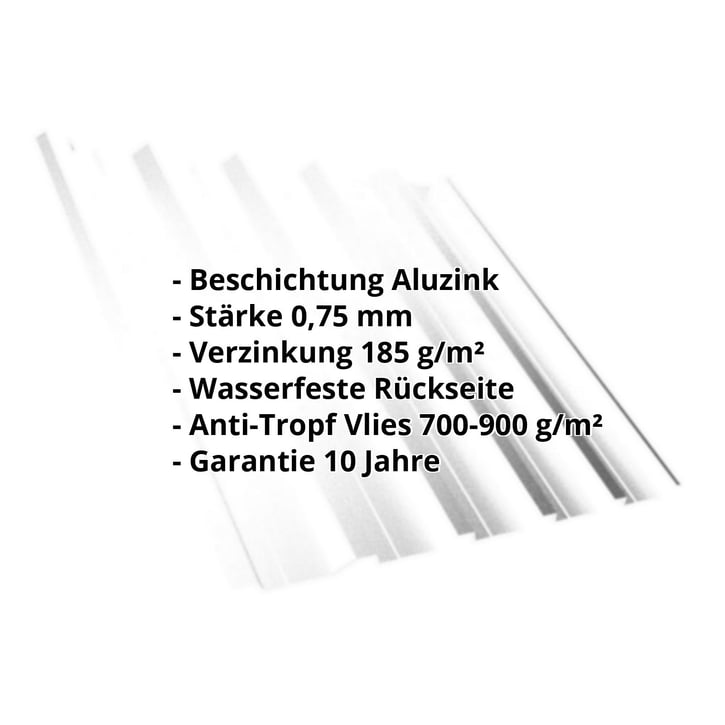 Trapezblech T35DR | Dach | Anti-Tropf 700 g/m² | Stahl 0,75 mm | Aluzink | Silbergrau #2
