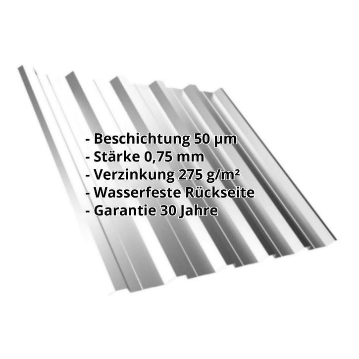 Trapezblech T35DR | Dach | Stahl 0,75 mm | 50 µm PURLAK® | 9006 - Weißaluminium #2