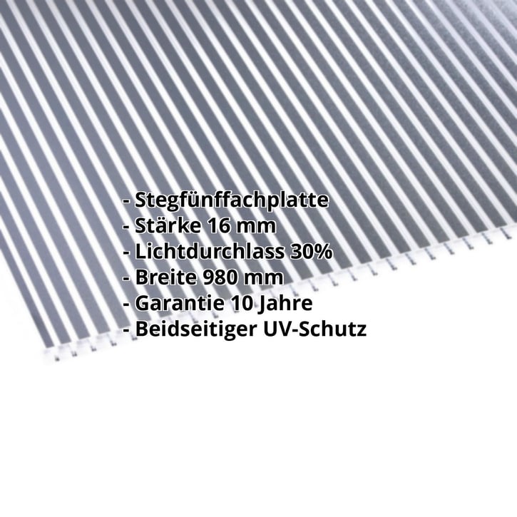 Polycarbonat Stegplatte | 16 mm | Breite 980 mm | Klar / Anthrazit gestreift | Beidseitiger UV-Schutz | 6000 mm #2
