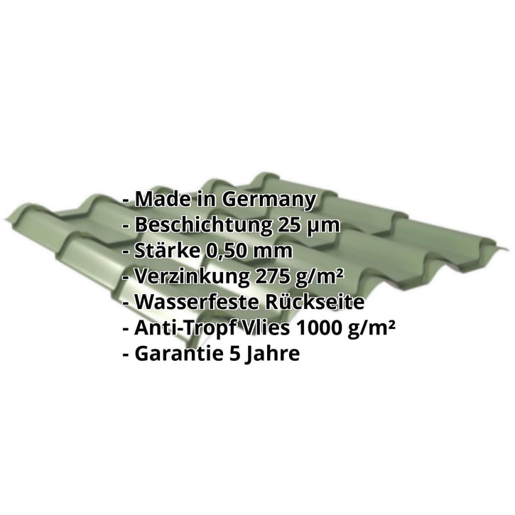 Pfannenblech EUROPA | Anti-Tropf 1000 g/m² | Stahl 0,50 mm | 25 µm Polyester | 6011 - Resedagrün #2