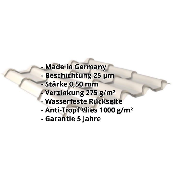 Pfannenblech EUROPA | Anti-Tropf 1000 g/m² | Stahl 0,50 mm | 25 µm Polyester | 9002 - Grauweiß #2