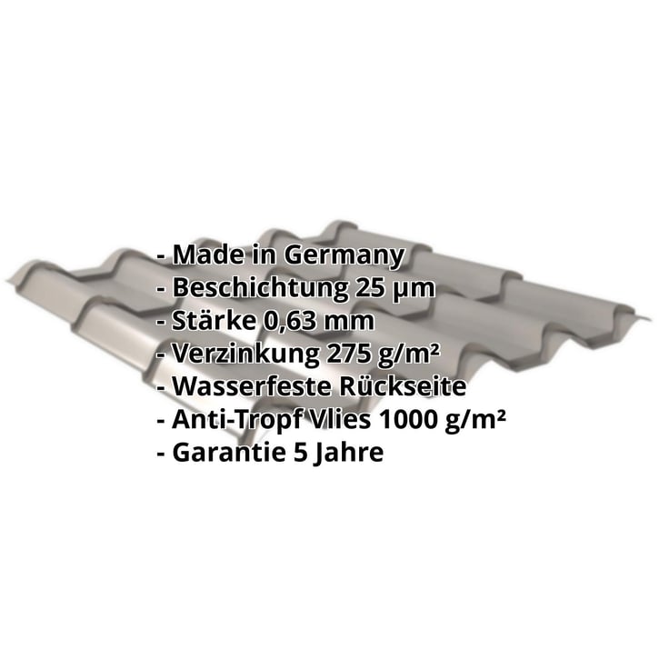 Pfannenblech EUROPA | Anti-Tropf 1000 g/m² | Stahl 0,63 mm | 25 µm Polyester | 9007 - Graualuminium #2