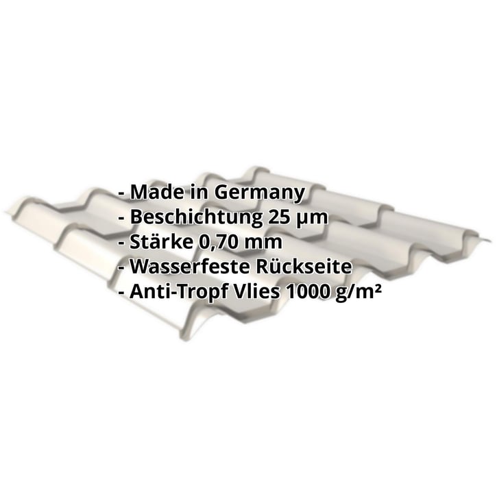 Pfannenblech EUROPA | Anti-Tropf 1000 g/m² | Aluminium 0,70 mm | 25 µm Polyester | 9006 - Weißaluminium #2