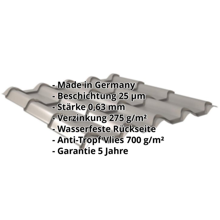Pfannenblech EUROPA | Anti-Tropf 700 g/m² | Stahl 0,63 mm | 25 µm Polyester | 9007 - Graualuminium #2