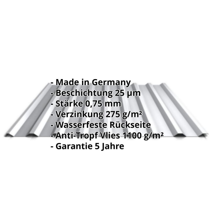 Trapezblech 20/1100 | Dach | Anti-Tropf 1000 g/m² | Aktionsblech | Stahl 0,75 mm | 25 µm Polyester | 9006 - Weißaluminium #2