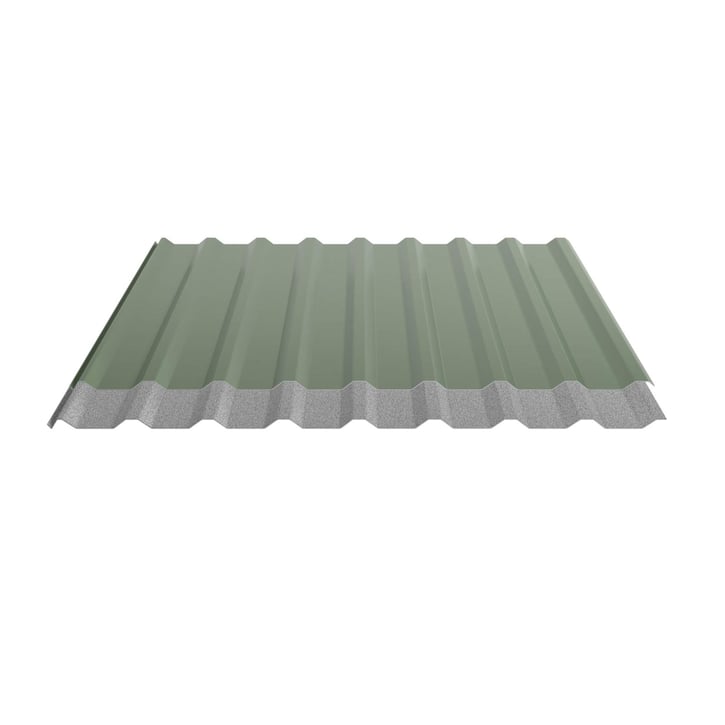 Trapezblech 20/1100 | Dach | Anti-Tropf 1000 g/m² | Stahl 0,50 mm | 25 µm Polyester | 6011 - Resedagrün #4