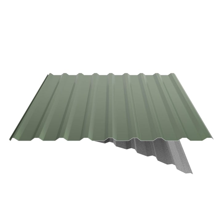Trapezblech 20/1100 | Dach | Anti-Tropf 1000 g/m² | Stahl 0,50 mm | 25 µm Polyester | 6011 - Resedagrün #5