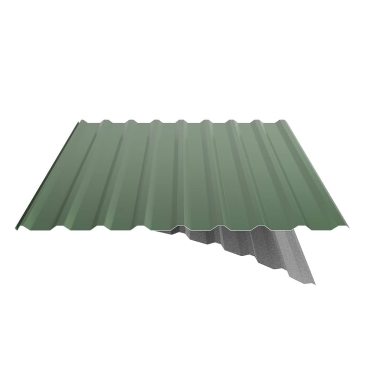 Trapezblech 20/1100 | Dach | Anti-Tropf 1000 g/m² | Stahl 0,50 mm | 25 µm Polyester | 6002 - Laubgrün #5