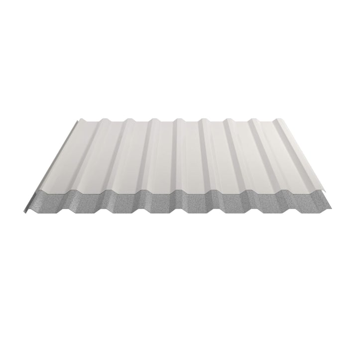 Trapezblech 20/1100 | Dach | Anti-Tropf 1000 g/m² | Stahl 0,50 mm | 25 µm Polyester | 9010 - Reinweiß #4