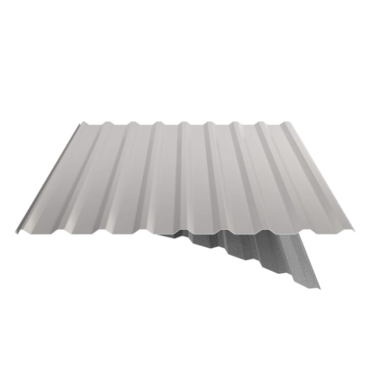 Trapezblech 20/1100 | Dach | Anti-Tropf 1000 g/m² | Stahl 0,63 mm | 25 µm Polyester | 9002 - Grauweiß #5
