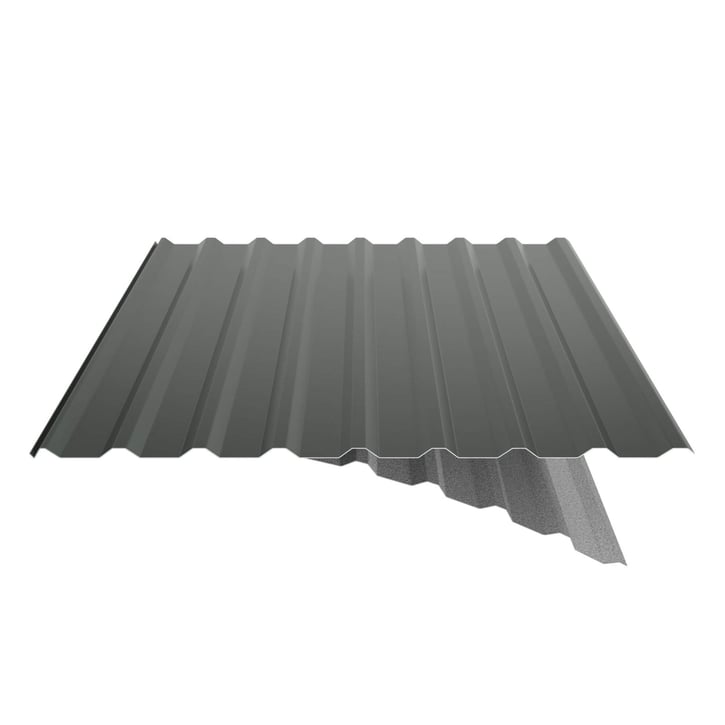 Trapezblech 20/1100 | Dach | Anti-Tropf 1000 g/m² | Stahl 0,75 mm | 25 µm Polyester | 6020 - Chromoxidgrün #5