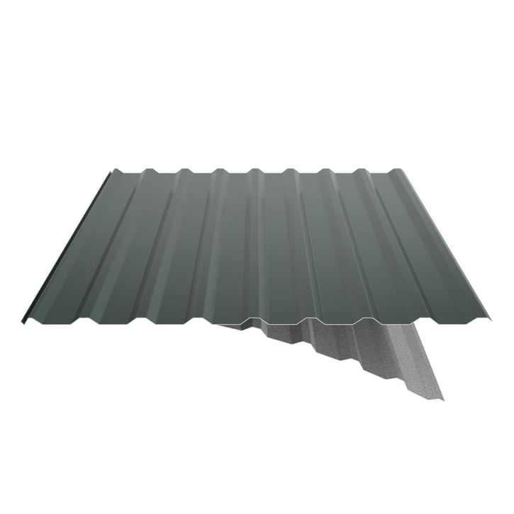 Trapezblech 20/1100 | Dach | Anti-Tropf 1000 g/m² | Stahl 0,50 mm | 60 µm TTHD | 6005 - Moosgrün #5