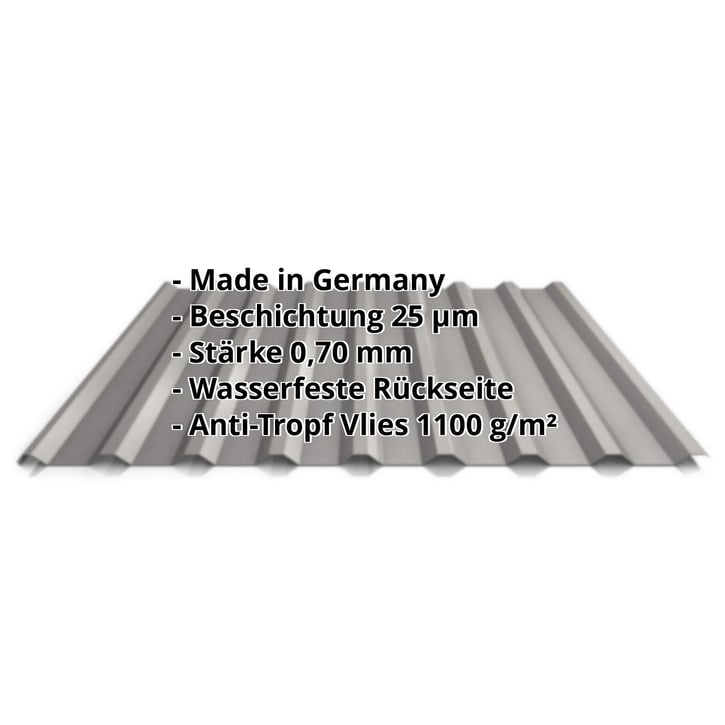 Trapezblech 20/1100 | Dach | Anti-Tropf 1000 g/m² | Aluminium 0,70 mm | 25 µm Polyester | 9007 - Graualuminium #2