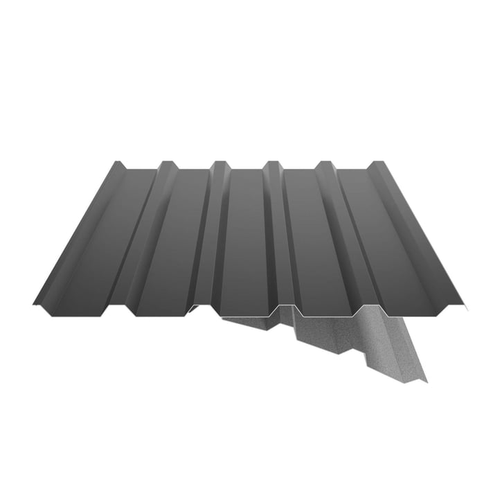 Trapezblech 35/207 | Dach | Anti-Tropf 1000 g/m² | Stahl 0,50 mm | 25 µm Polyester | 9005 - Tiefschwarz #5