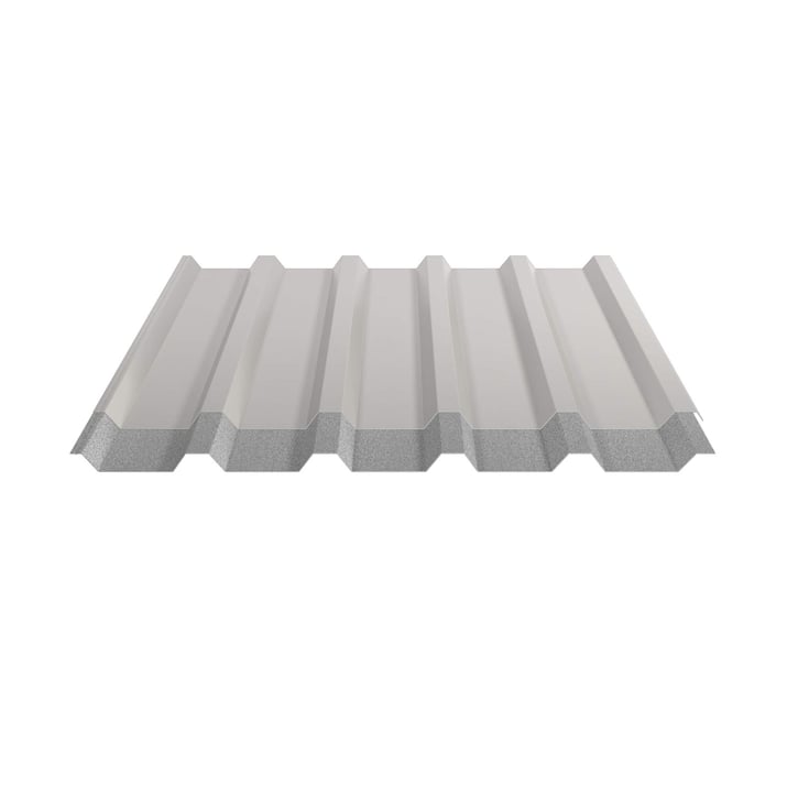 Trapezblech 35/207 | Dach | Anti-Tropf 1000 g/m² | Stahl 0,63 mm | 25 µm Polyester | 9002 - Grauweiß #4