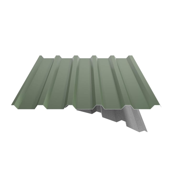 Trapezblech 35/207 | Dach | Anti-Tropf 700 g/m² | Stahl 0,50 mm | 25 µm Polyester | 6011 - Resedagrün #5
