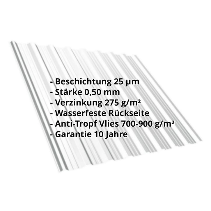 Trapezblech T18DR | Dach | Anti-Tropf 700 g/m² | Stahl 0,50 mm | 25 µm Polyester | 7035 - Lichtgrau #2