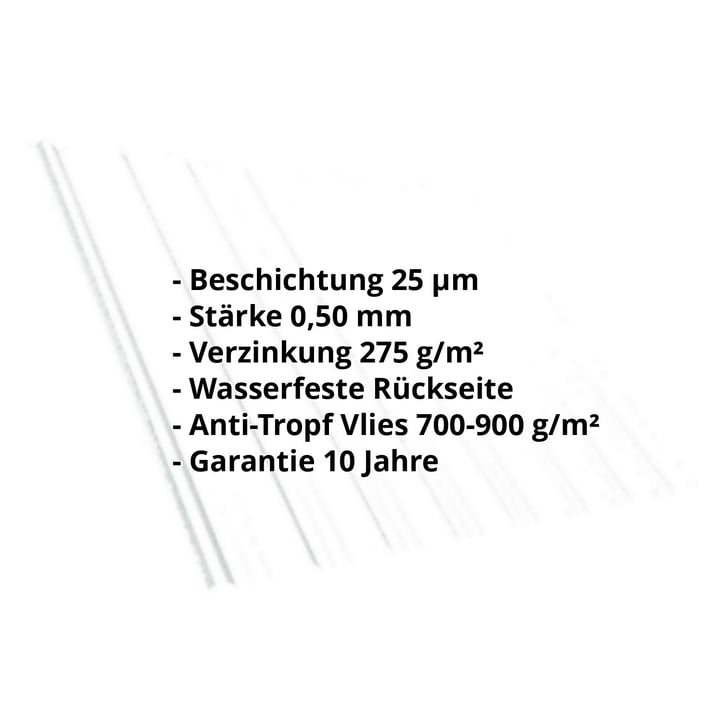 Trapezblech T18DR | Dach | Anti-Tropf 700 g/m² | Stahl 0,50 mm | 25 µm Polyester | 9010 - Reinweiß #2