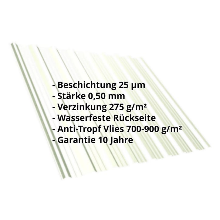 Trapezblech T18DR | Dach | Anti-Tropf 700 g/m² | Stahl 0,50 mm | 25 µm Polyester | 9002 - Grauweiß #2