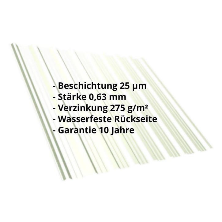 Trapezblech T18DR | Dach | Stahl 0,63 mm | 25 µm Polyester | 9002 - Grauweiß #2