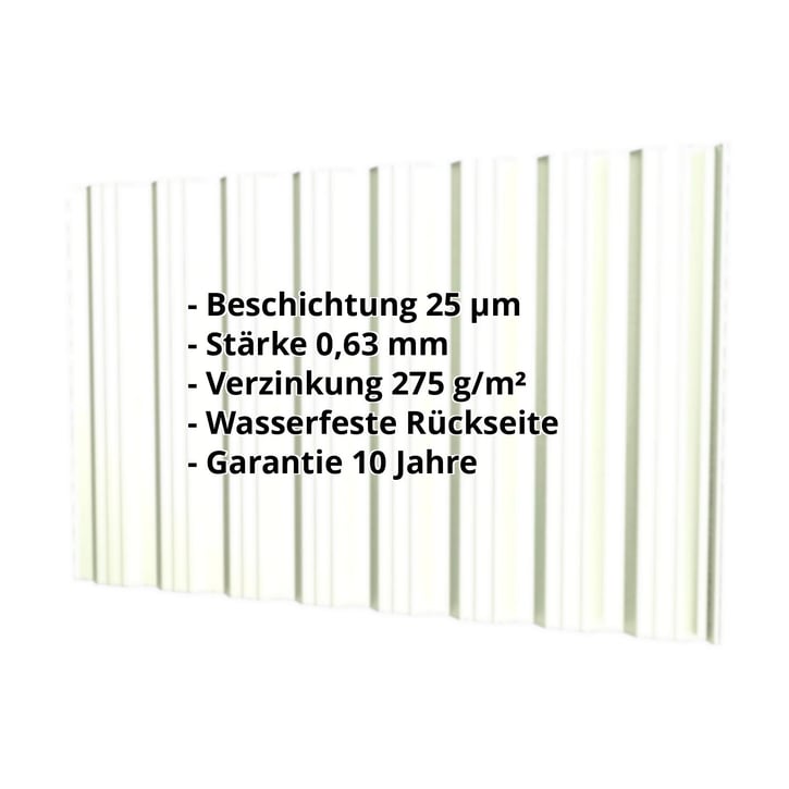 Trapezblech T18DR | Wand | Stahl 0,63 mm | 25 µm Polyester | 9002 - Grauweiß #2