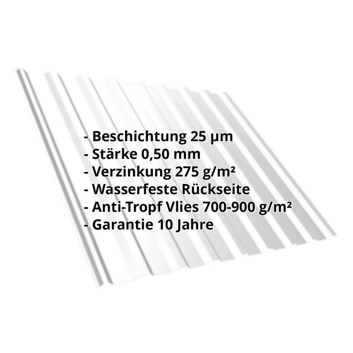 Trapezblech T20M | Dach | Anti-Tropf 700 g/m² | Stahl 0,50 mm | 25 µm Polyester | 7035 - Lichtgrau #2