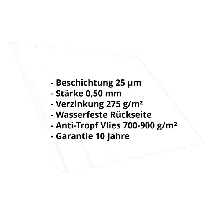 Trapezblech T20M | Dach | Anti-Tropf 700 g/m² | Stahl 0,50 mm | 25 µm Polyester | 9010 - Reinweiß #2