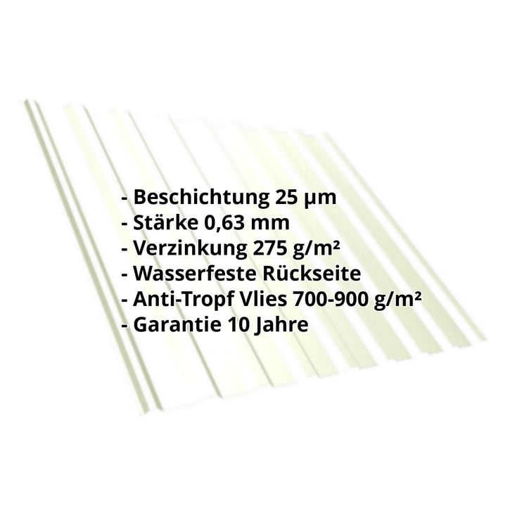 Trapezblech T20M | Dach | Anti-Tropf 700 g/m² | Stahl 0,63 mm | 25 µm Polyester | 9002 - Grauweiß #2