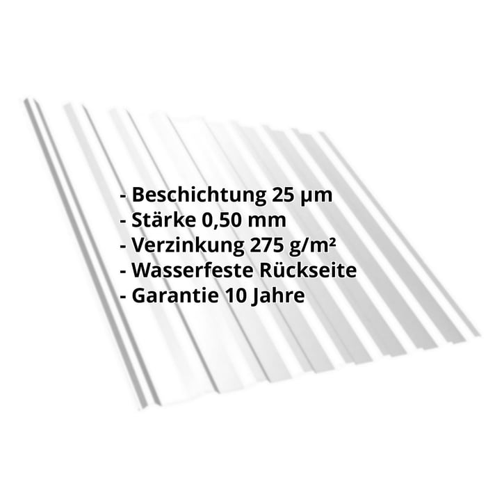 Trapezblech T20M | Dach | Stahl 0,50 mm | 25 µm Polyester | 7035 - Lichtgrau #2