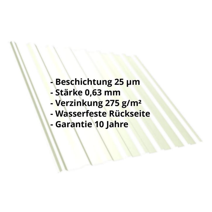 Trapezblech T20M | Dach | Stahl 0,63 mm | 25 µm Polyester | 9002 - Grauweiß #2