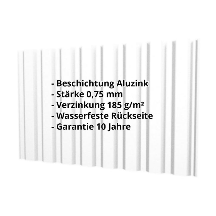 Trapezblech T20M | Wand | Stahl 0,75 mm | Aluzink | Blank Aluminium #2