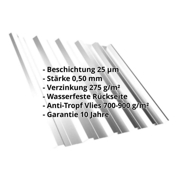 Trapezblech T35DR | Dach | Anti-Tropf 700 g/m² | Stahl 0,50 mm | 25 µm Polyester | 7035 - Lichtgrau #2