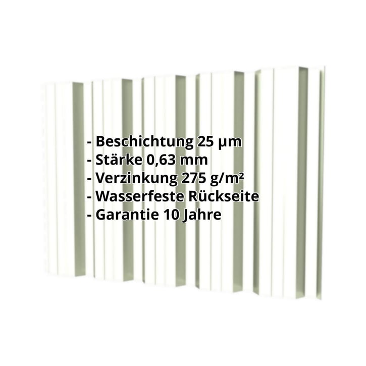Trapezblech T35DR | Wand | Stahl 0,63 mm | 25 µm Polyester | 9002 - Grauweiß #2